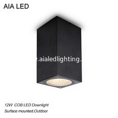 China Downlight de la prenda impermeable 12W CreeCOB LED de la casilla negra IP65/luz al aire libre del LED para el toliet proveedor
