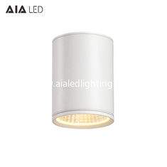 China Downlight&amp;exterior LED de la MAZORCA LED del cilindro 40W de la impermeabilización del agua IP65 downligthing para el hogar proveedor