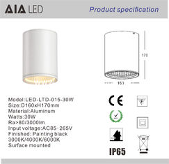 China MAZORCA dimmable impermeable 30W LED de DALI IP65 abajo del light&amp;outdoor LED abajo de la lámpara para el cuarto de baño proveedor
