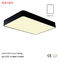 Ajuste dentro IP40 de la iluminación moderna del techo del precio competitivo LED para la tienda de ropa proveedor
