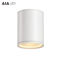 Light&amp;outdoor dimmable LED de la MAZORCA 50W LED de DALI del cilindro exterior impermeable IP65 abajo downligthing proveedor